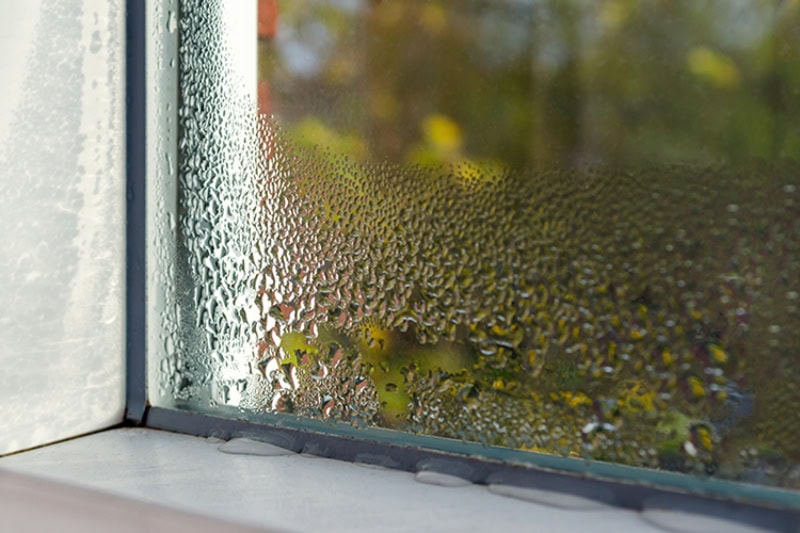 Why You Need Whole-House Humidity Control. Photo of a window with condensation.